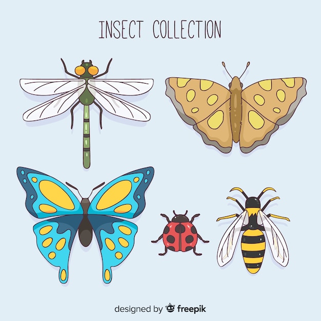 Vecteur gratuit collection d'insectes colorés