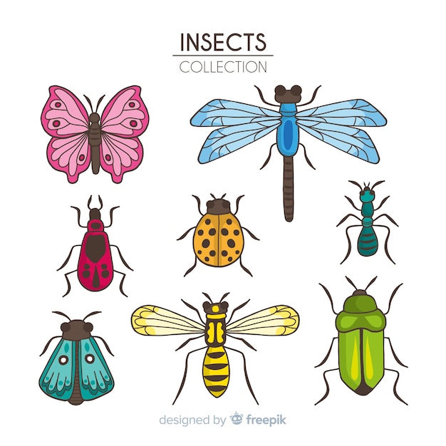 Vecteur gratuit collection d'insectes dessinés à la main