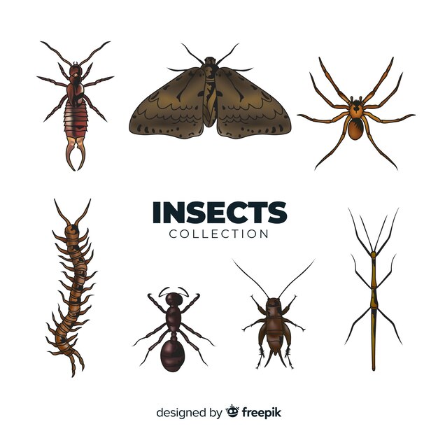 Collection d&#39;insectes réalistes