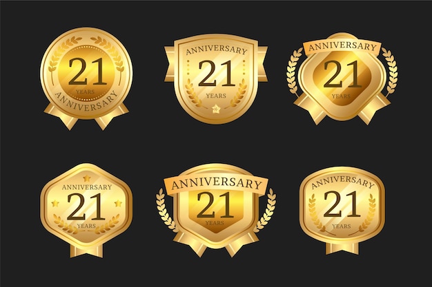 Collection D'insignes D'or 21 Anniversaire