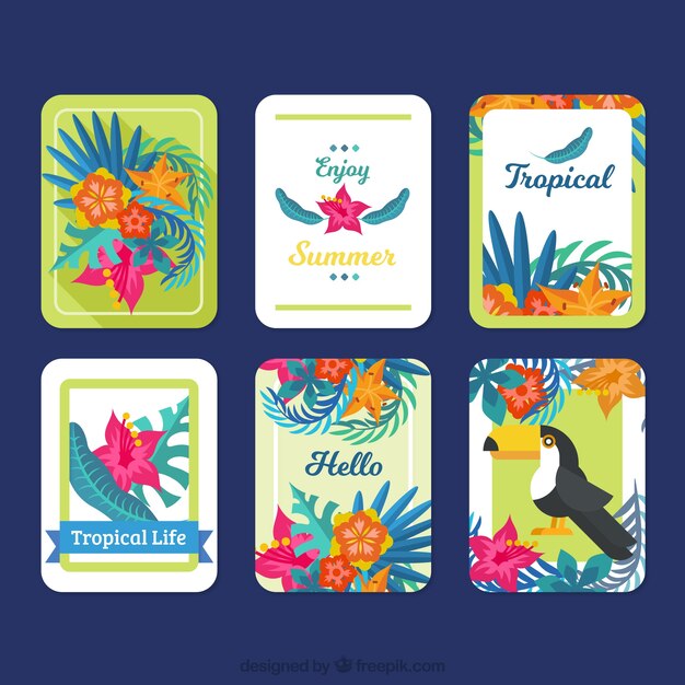 Collection De Jolies Cartes D'été