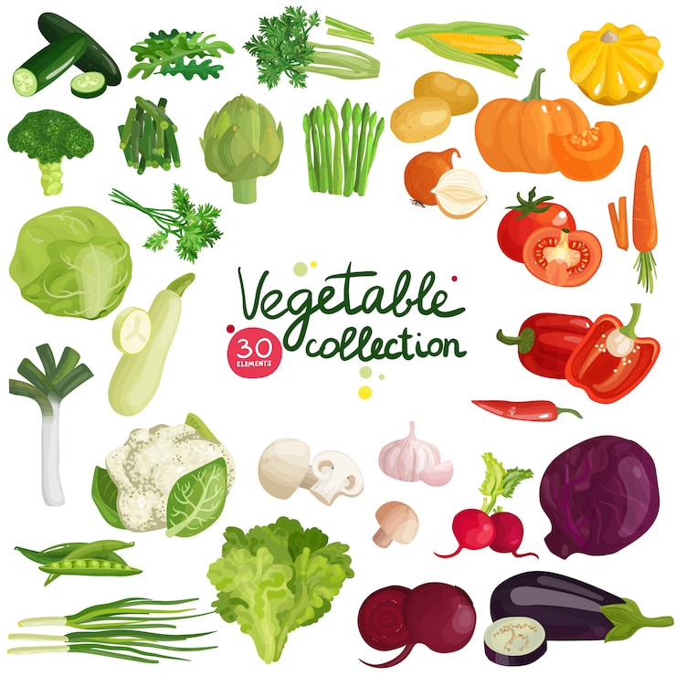 Vecteur gratuit collection légumes et herbes