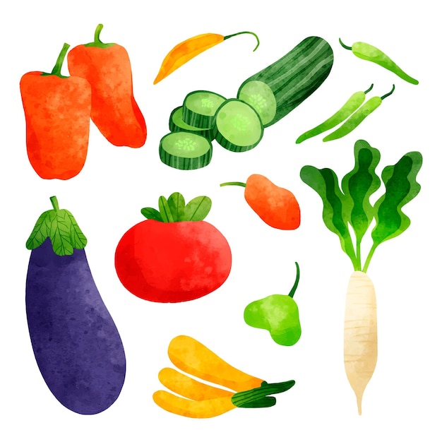 Collection de légumes peints à la main