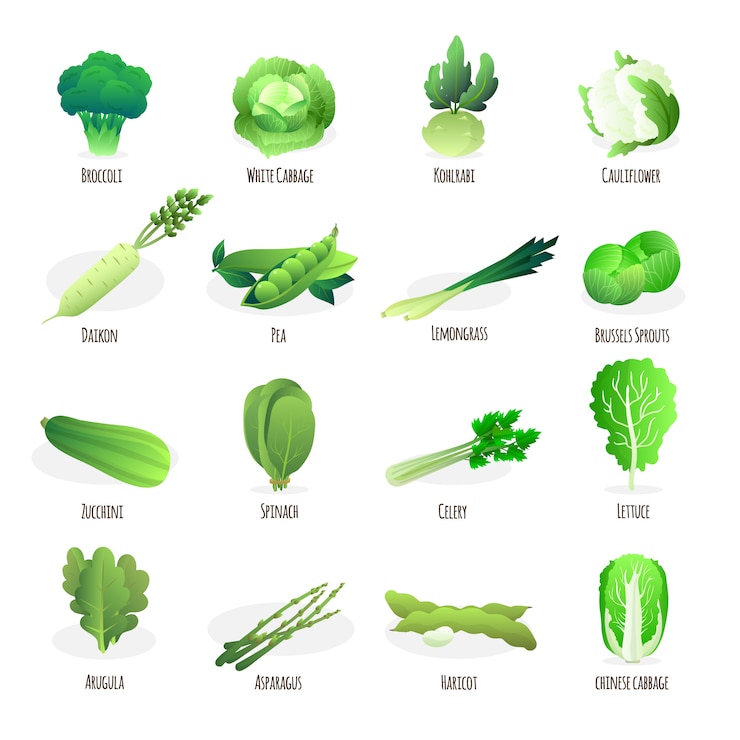 Vecteur gratuit collection de légumes verts