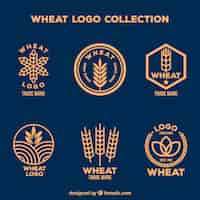 Vecteur gratuit collection de logo de blé plat