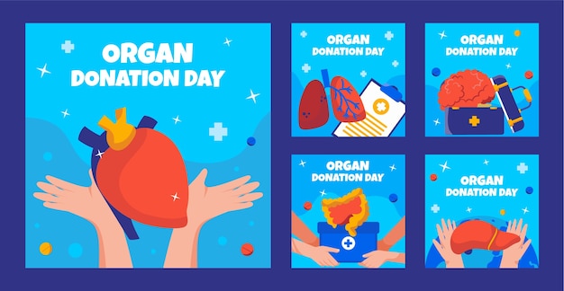 Vecteur gratuit collection de messages instagram plats pour la journée mondiale du don d'organes