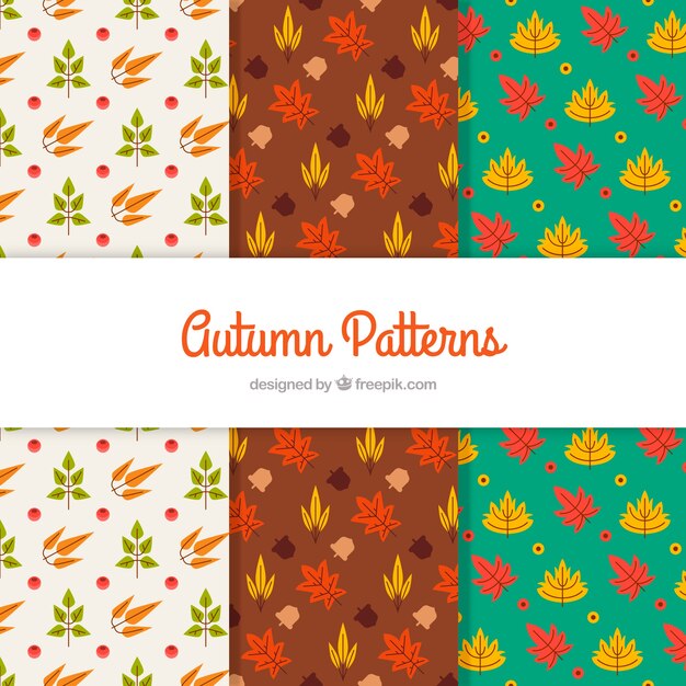 Collection de modèles automne dans un style plat
