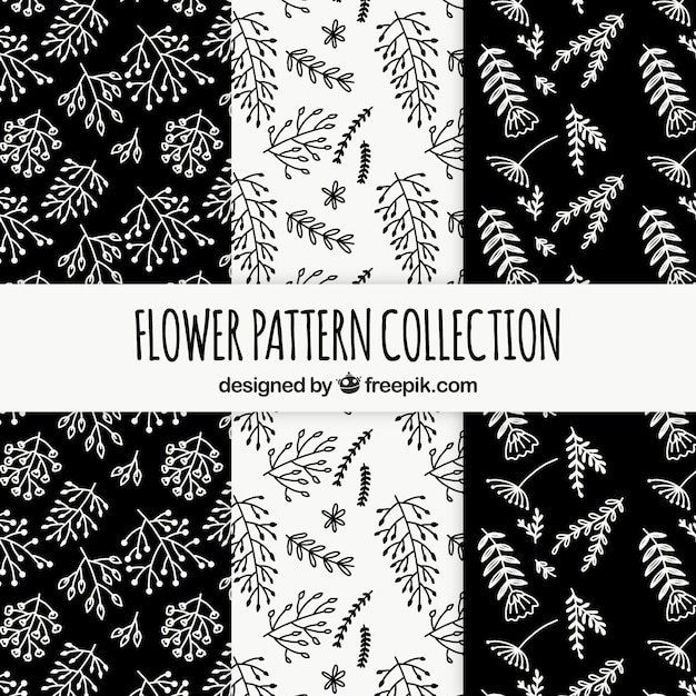 Collection de motifs de fleurs en noir et blanc