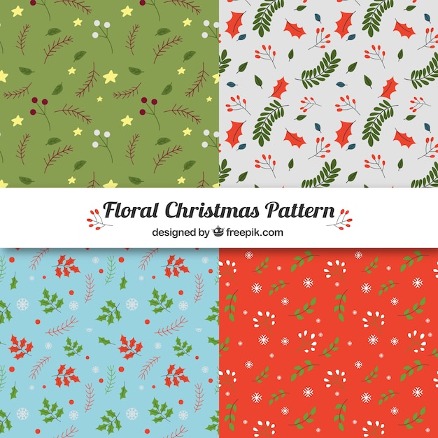 Collection De Motifs Floraux Décoratifs Pour Noël