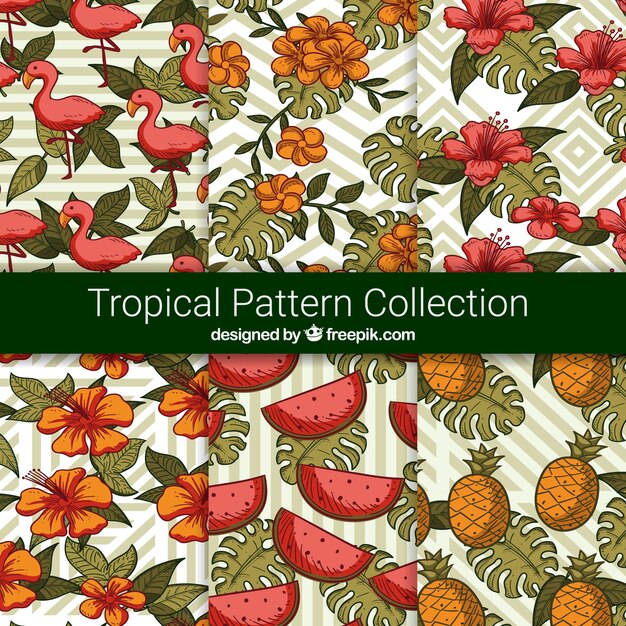 Collection de motifs tropicaux