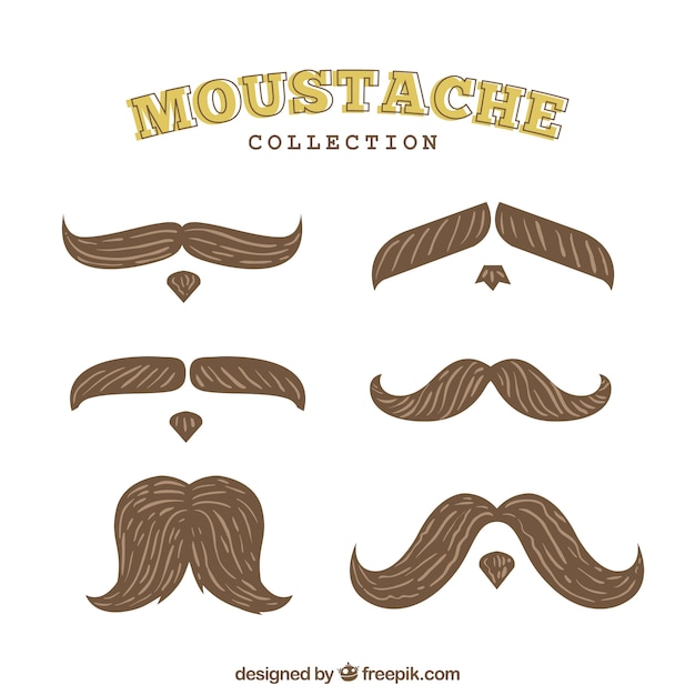 Collection De Moustaches Pour Le Mois De Novembre