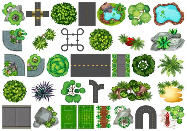 Collection d'objets de la nature en plein air et d'éléments de plantes