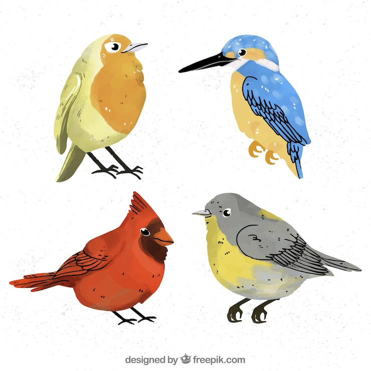 Vecteur gratuit collection d&#39;oiseaux aquarelle