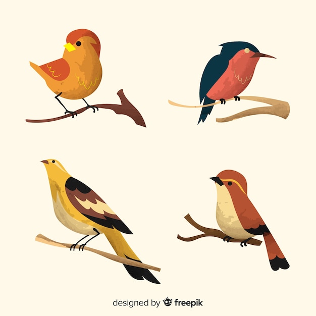 Vecteur gratuit collection d'oiseaux aquarelles sur des branches