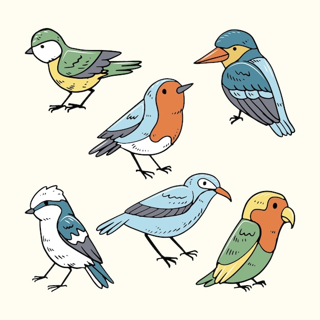 Vecteur gratuit collection d'oiseaux dessinés à la main