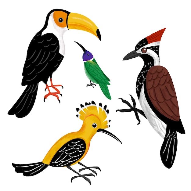 Vecteur gratuit collection d'oiseaux dessinés à la main