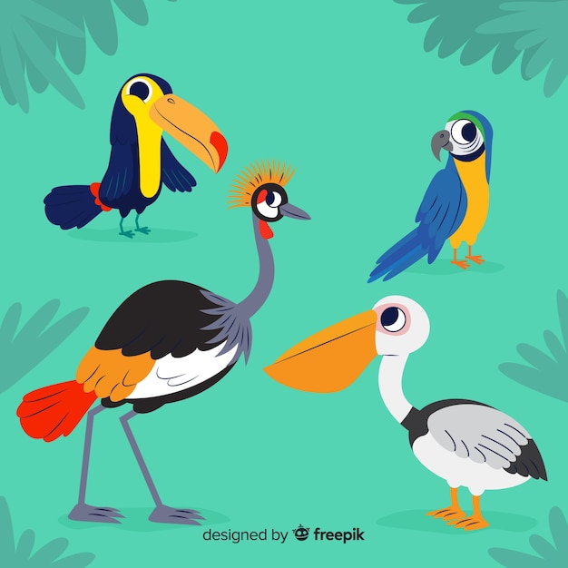 Vecteur gratuit collection d'oiseaux exotiques design plat