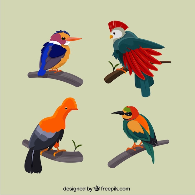 Vecteur gratuit collection d'oiseaux exotiques plats