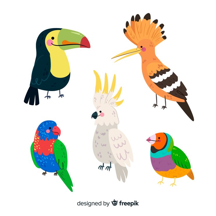 Vecteur gratuit collection d'oiseaux exotiques plats