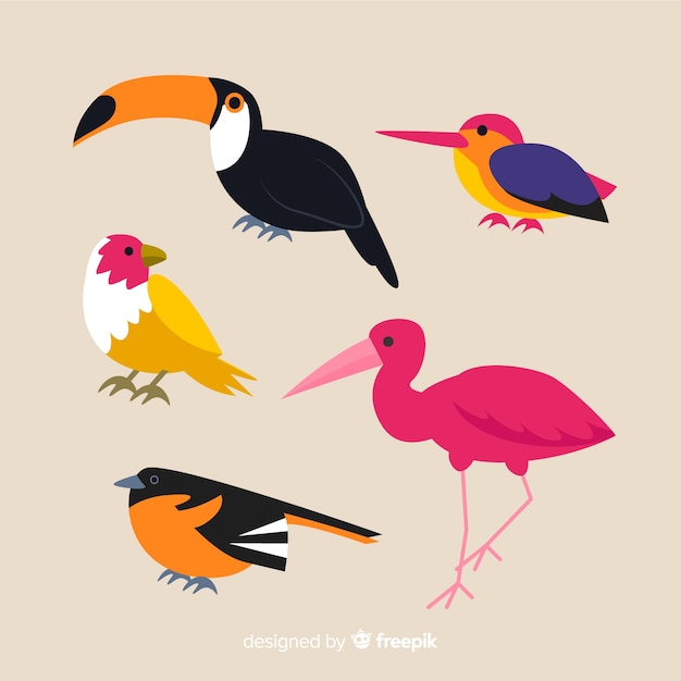 Vecteur gratuit collection d'oiseaux exotiques plats