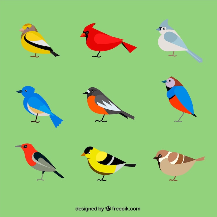 Vecteur gratuit collection d&#39;oiseaux plats