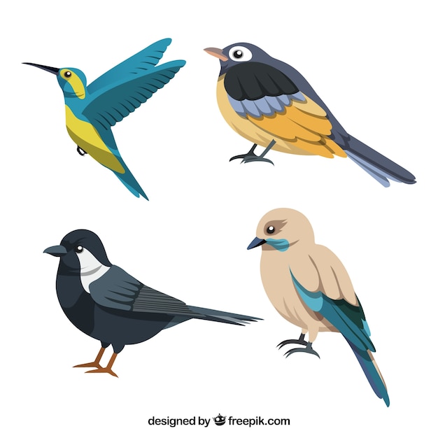 Vecteur gratuit collection d'oiseaux plats