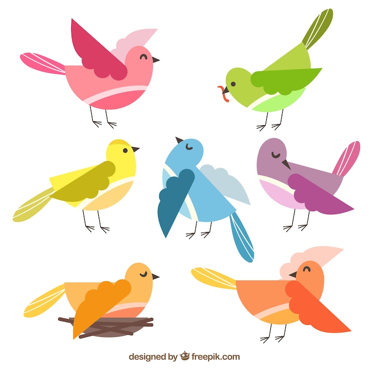 Vecteur gratuit collection d&#39;oiseaux plats