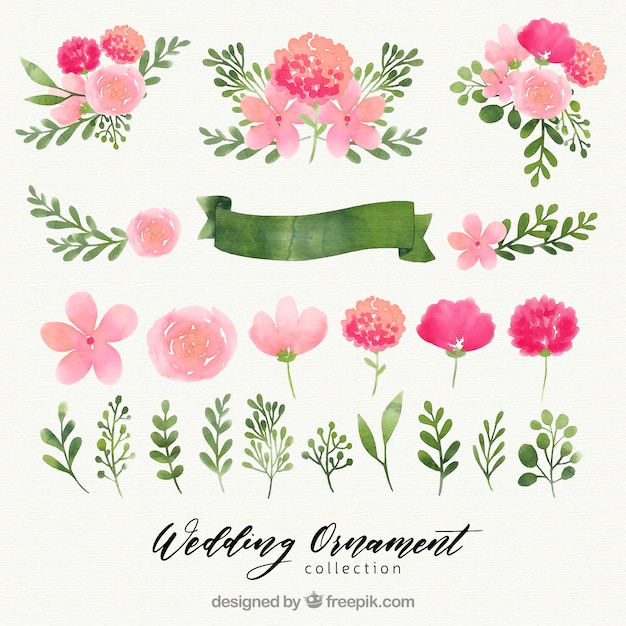 Collection D'ornement De Mariage Floral Aquarelle