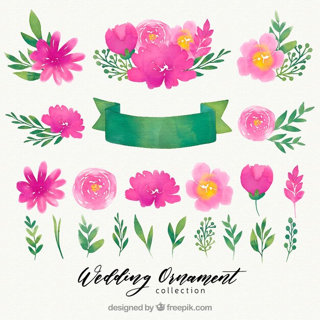 Collection D'ornement De Mariage Floral Aquarelle