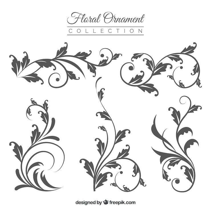 Vecteur gratuit collection d&#39;ornements floraux