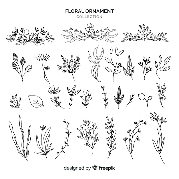 Vecteur gratuit collection d'ornements floraux