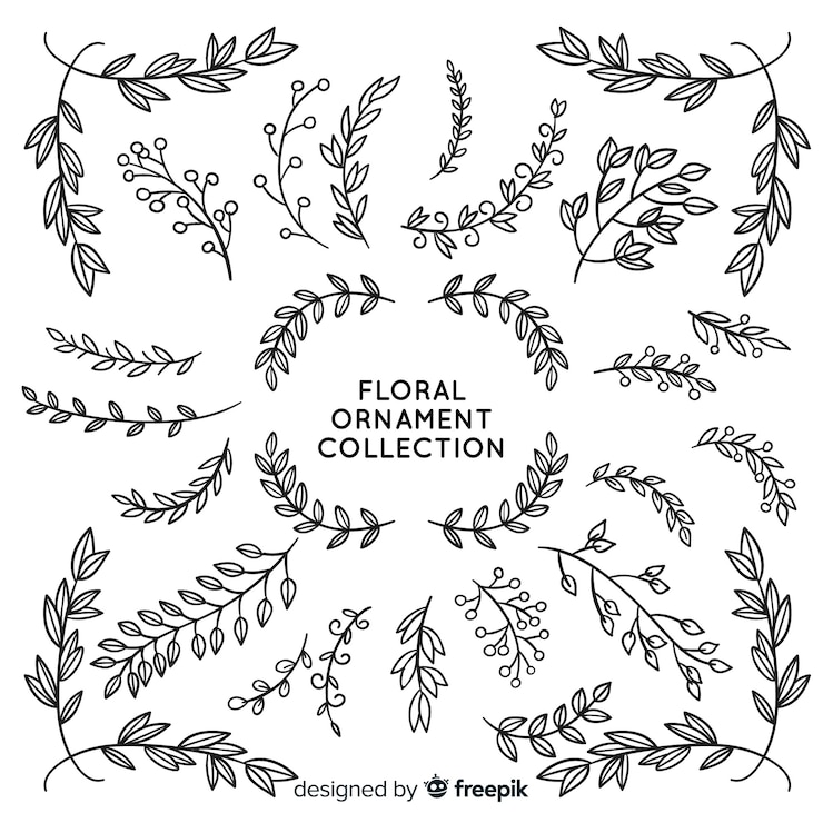 Vecteur gratuit collection d&#39;ornements floraux