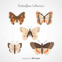 Vecteur gratuit collection de papillons plats