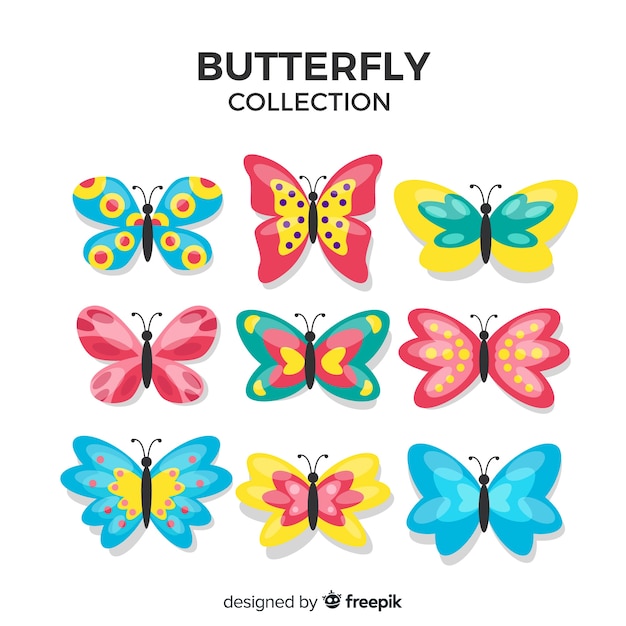 Collection De Papillons