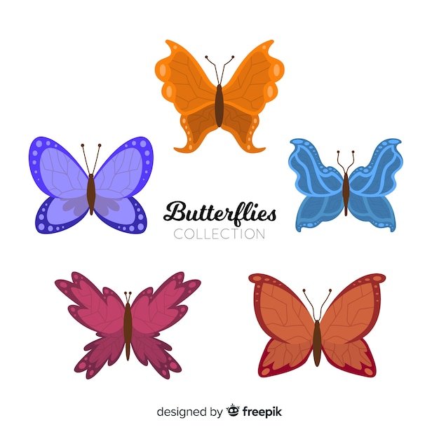 Collection de papillons