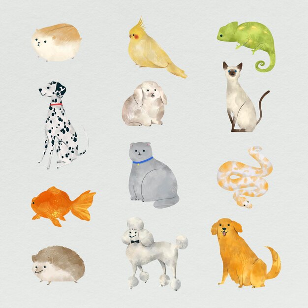 Collection de peintures d'animaux amicaux