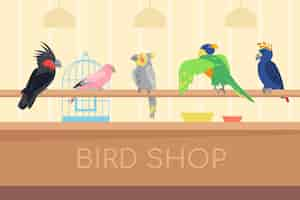 Vecteur gratuit collection de perroquets multicolores dans un magasin d'oiseaux. oiseaux exotiques tropicaux sauvages pour illustration de dessin animé de maison