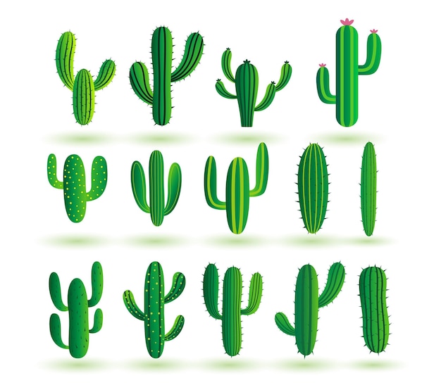 Vecteur gratuit collection de plantes de cactus sauvages et secs dessin de fond