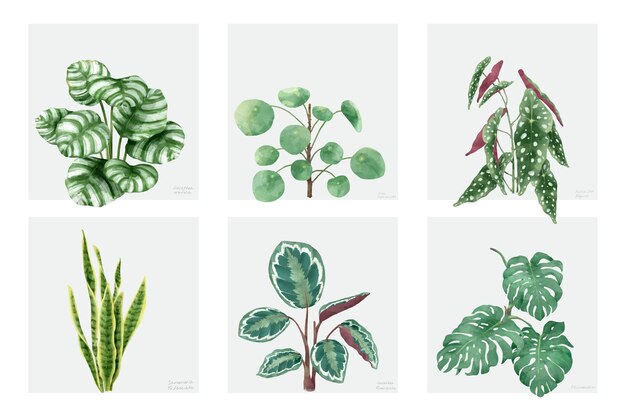 Collection de plantes dessinés à la main, isolé sur fond blanc