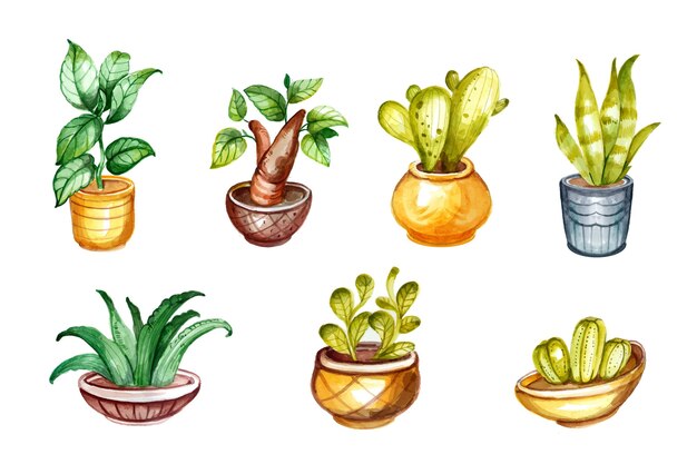 Collection de plantes d'intérieur aquarelle peintes à la main