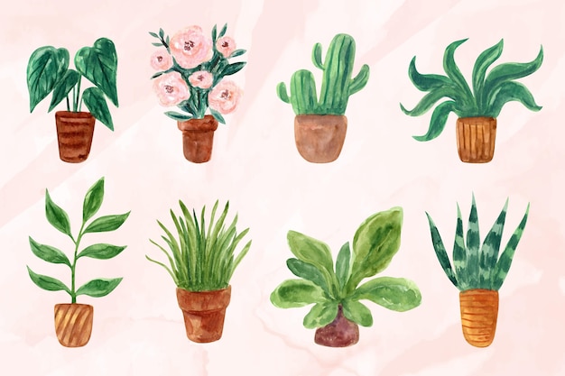 Collection De Plantes D'intérieur Aquarelle Peintes à La Main