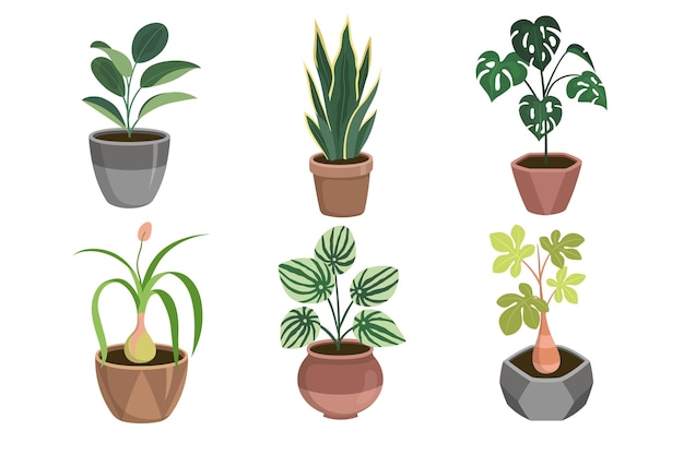 Collection de plantes d'intérieur design plat organique
