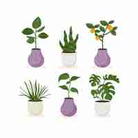 Vecteur gratuit collection de plantes d'intérieur design plat