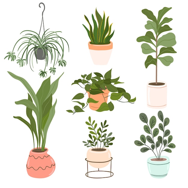 Vecteur gratuit collection de plantes d'intérieur dessinées à la main