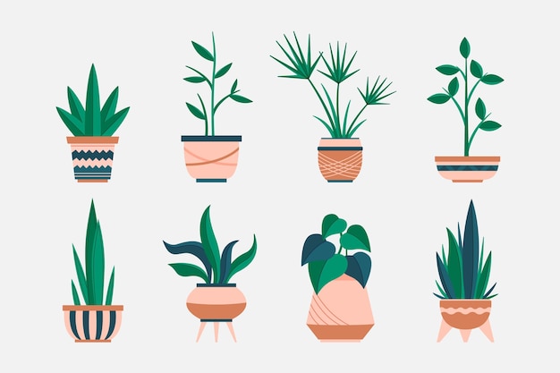 Vecteur gratuit collection de plantes d'intérieur dessinées à la main