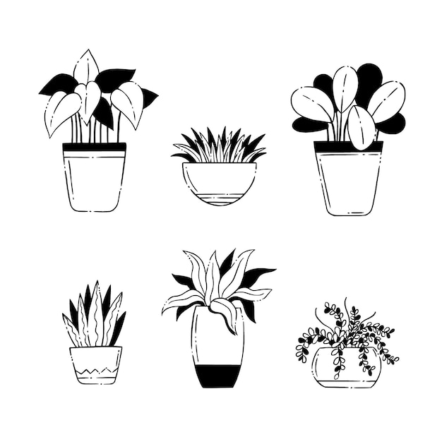 Vecteur gratuit collection de plantes d'intérieur dessinées à la main