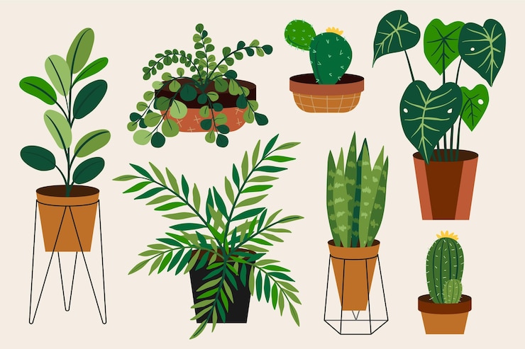 Vecteur gratuit collection de plantes d'intérieur dessinées à la main
