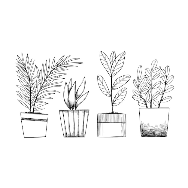 Vecteur gratuit collection de plantes d'intérieur dessinées à la main