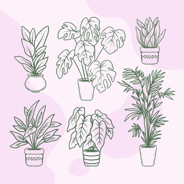 Vecteur gratuit collection de plantes d'intérieur dessinées à la main