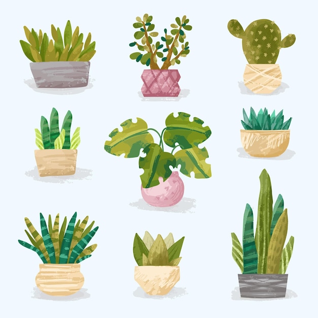 Vecteur gratuit collection de plantes d'intérieur dessinées à la main